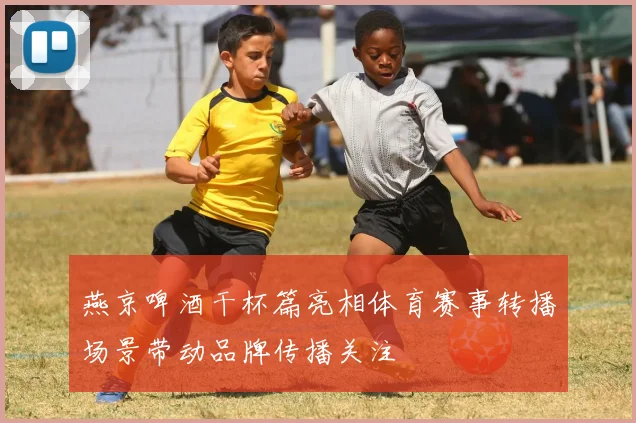 燕京啤酒干杯篇亮相体育赛事转播场景带动品牌传播关注