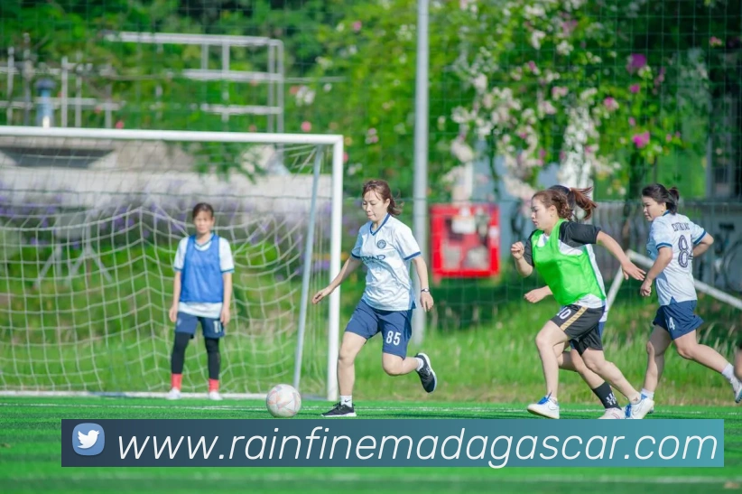 华体app登录入口平台生态图